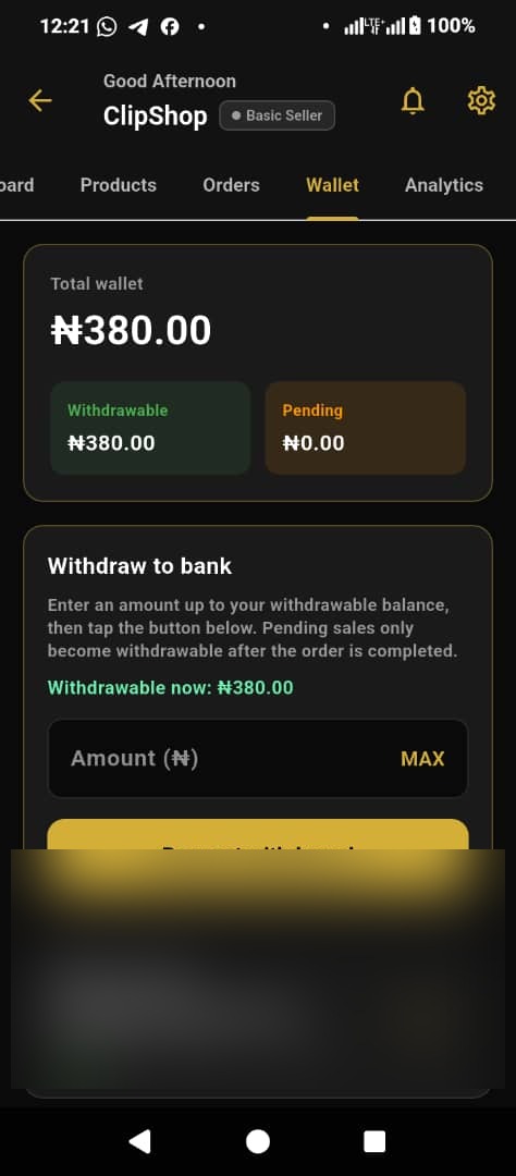 Seller wallet and payouts in BlaqGram